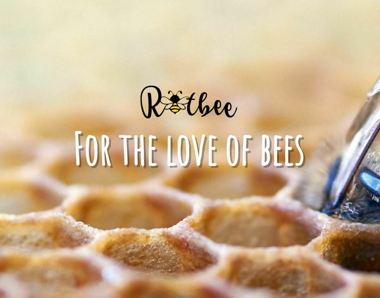 Recomandări 3 rotbee