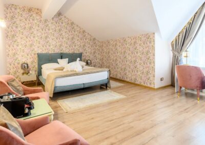 Hotel Maria - Botoșani 8 DELUXE Dubla 1