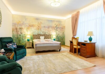 Hotel Maria - Botoșani 4 DELUXE Dubla 8