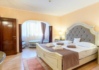 Hotel Maria - Botoșani 2 STANDARD Apartament 3