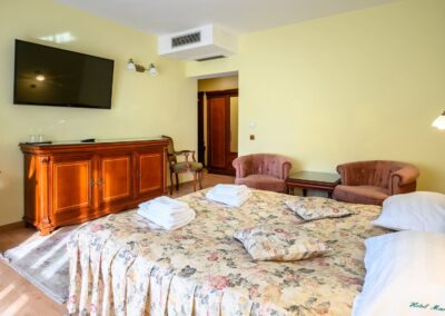 Hotel Maria - Botoșani 7 STANDARD Dubla 2